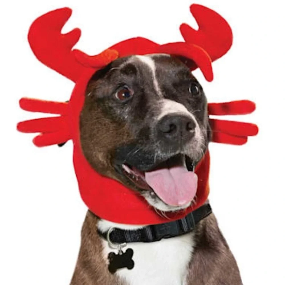 NWT Halloween Lobster Dog Costume S/M